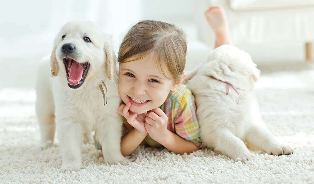 Как малышам вести себя с домашней собакой