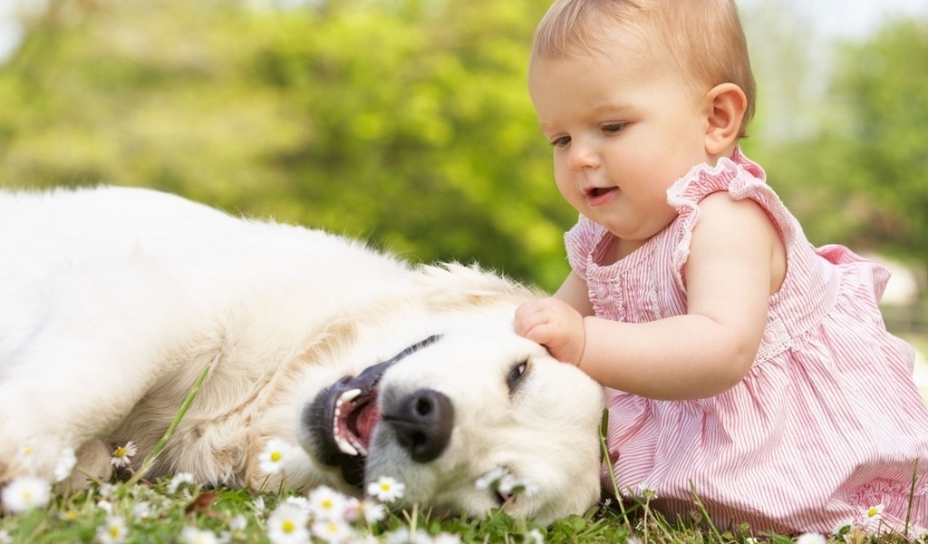 Положительное влияние домашних животных на детей
